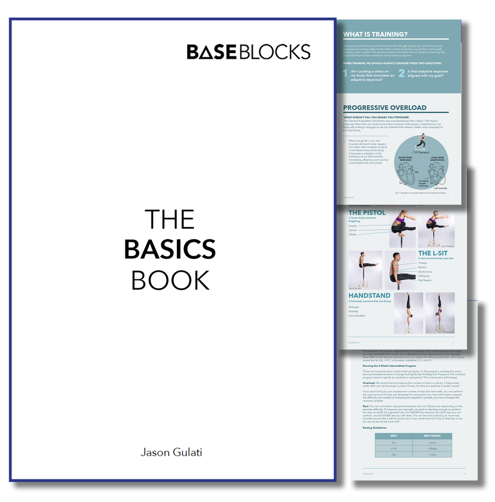 THE BASICS BOOK