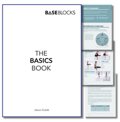 THE BASICS BOOK